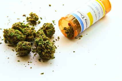 Read more on Medical Marijuana is Getting a Lot of Media Attention
