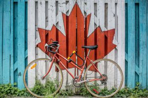 Canadian Maple Leaf 1200